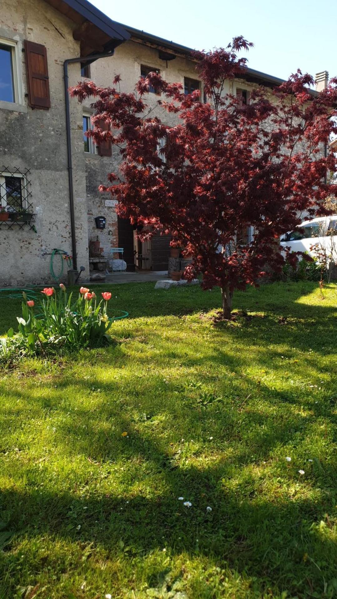 B&B Karin - Rooms & Breakfast Udine Exterior photo